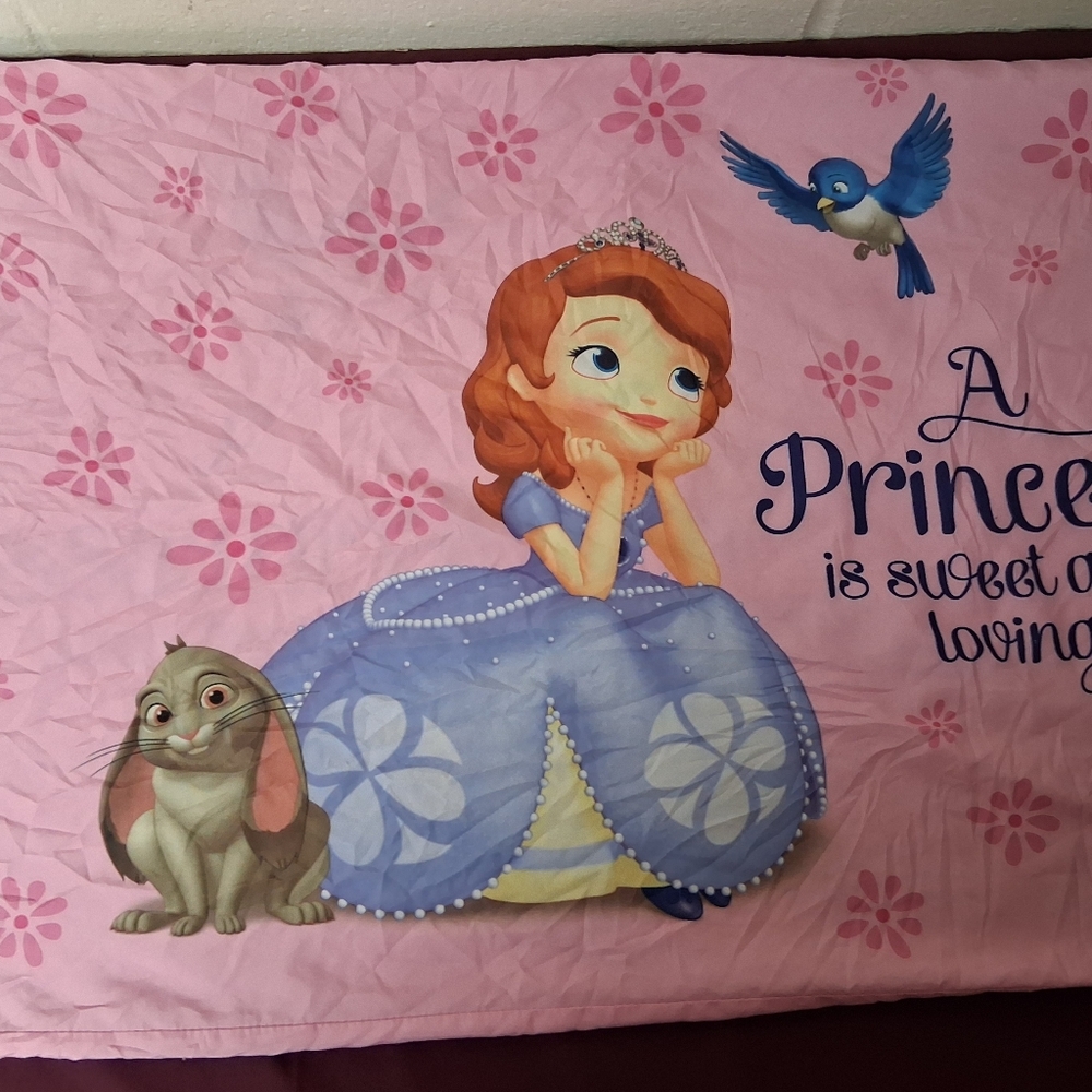 Disney A Princess Is Sweet And Loving Standard Size Pillowcase.